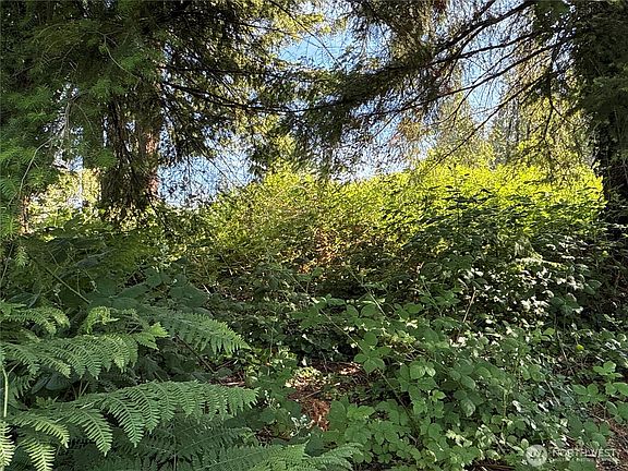 3rd image of 2229 97th Street SE