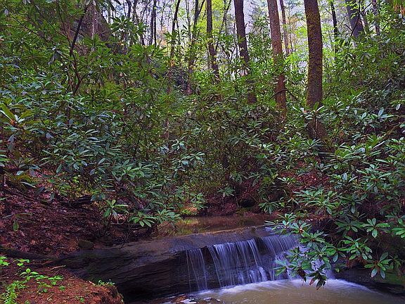 WaterFall, NE Corner