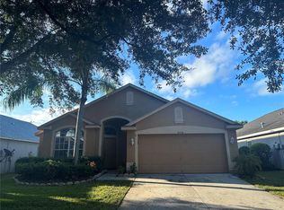 10336 Lightner Bridge Dr, Tampa, FL 33626