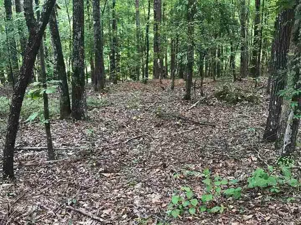 Aurora Cir #14, Alpine, AL 35014