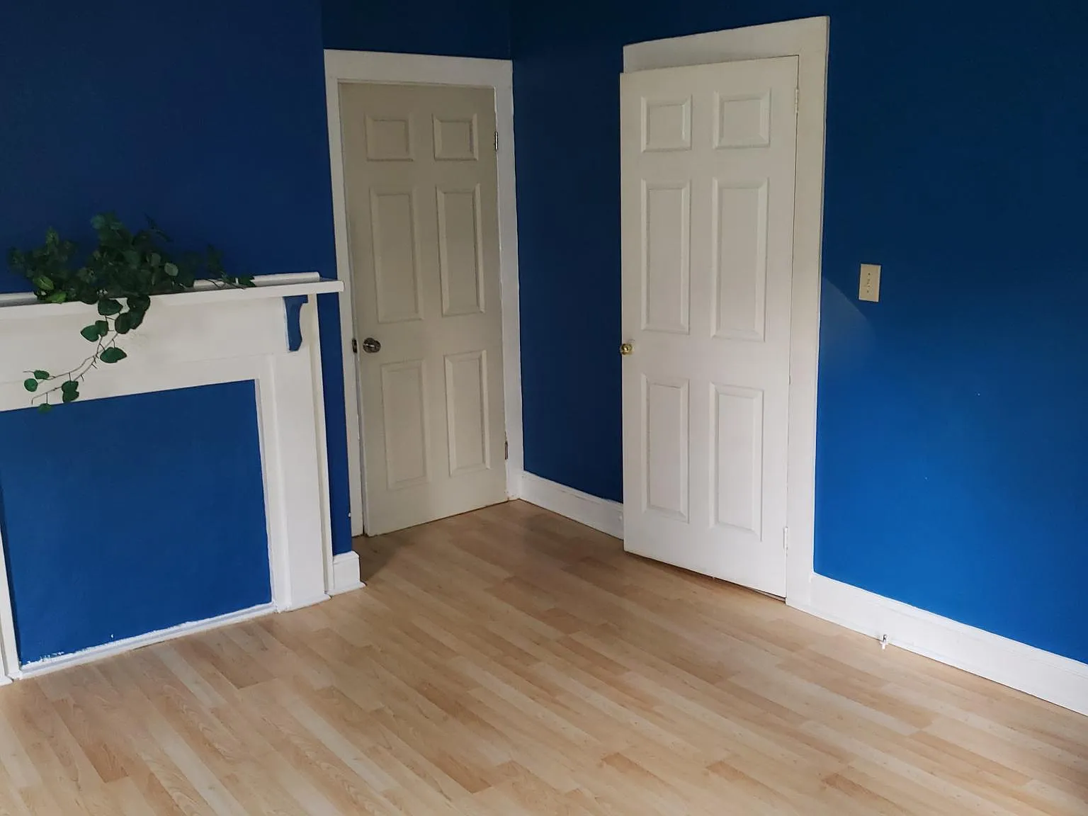 559 Patterson Street — Photo 4