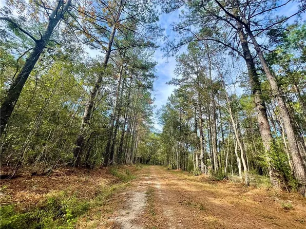 37285 Dummyline Rd, Pearl River, LA 70452
