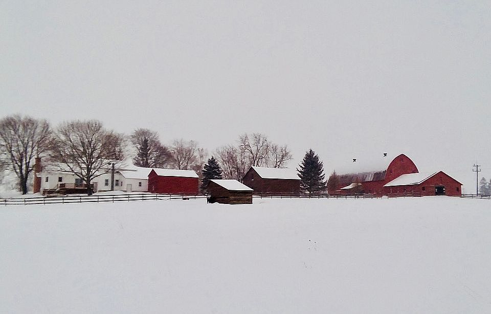 Home and outbuildings 