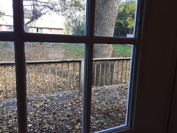 Back yard view