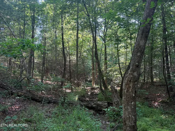 0 Muddy Branch Rd, Crossville, TN 38571