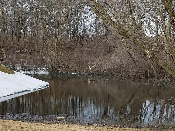 Pond in Back