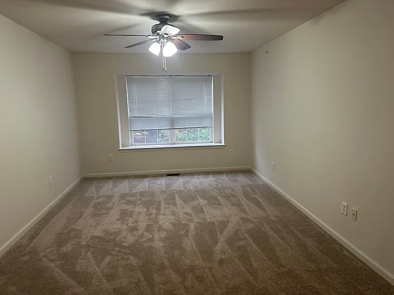 234 Tall Pines Dr — Photo 16