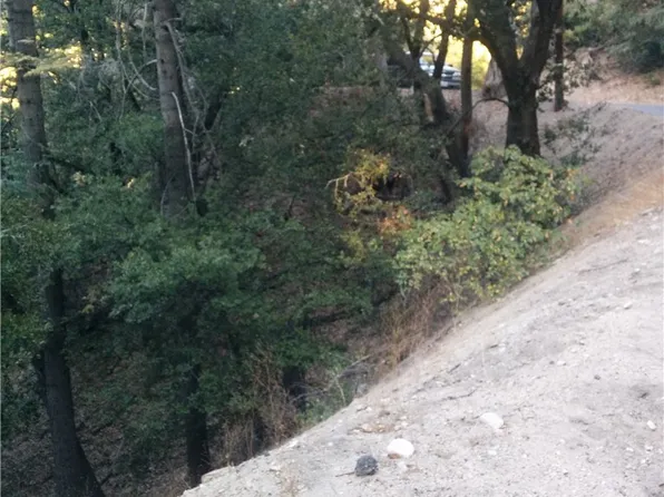 0 Chillion Dr #51, Crestline, CA 92325