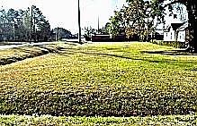 1st image of 0 Magnolia St
