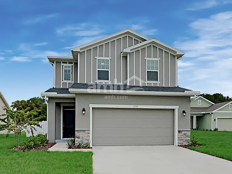 1397 Celery Palm Cv — Photo 1