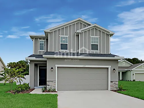 1397 Celery Palm Cv Photo 1