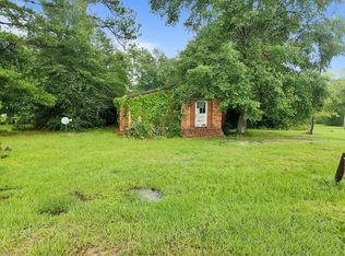 107 McArthur St, Ashford, AL 36312