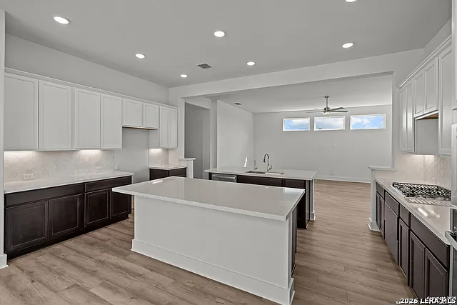 413 Hinsdale Run — Photo 5