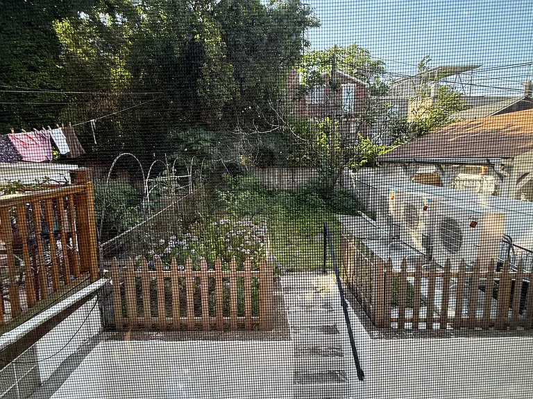 view of the backyard