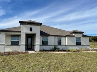 10064 Dolphin Gull Cir, Thonotosassa, FL 33592