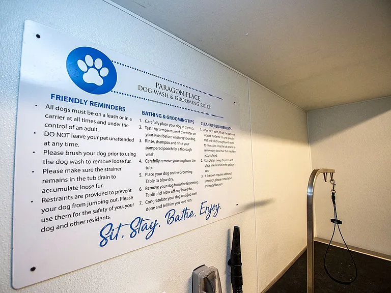 Dog Wash Room