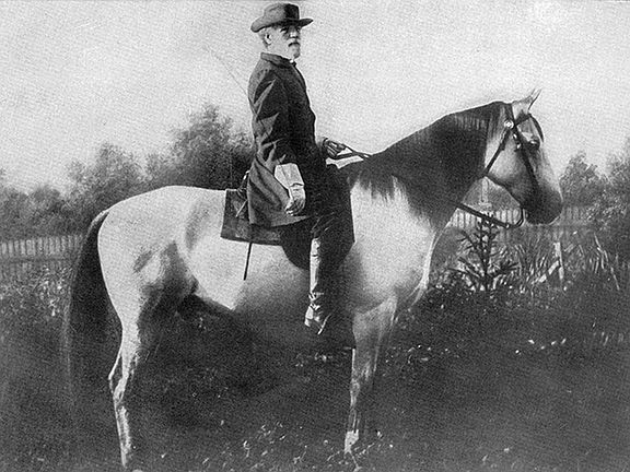 11th image of this home