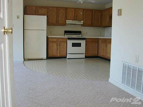 photo7