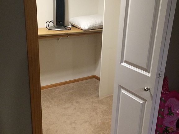 Basement BR walk-in closet