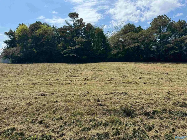 120 County Road 726, Gaylesville, AL 35973