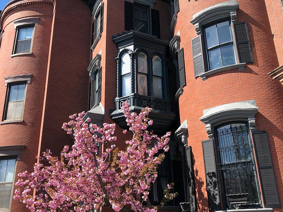 Street view of 530 Mass Ave