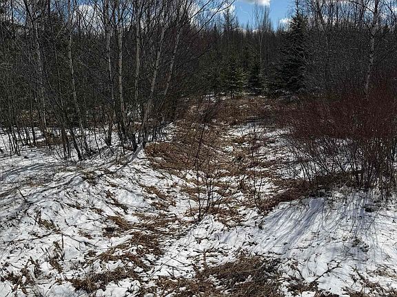 3rd image of Lake Rd