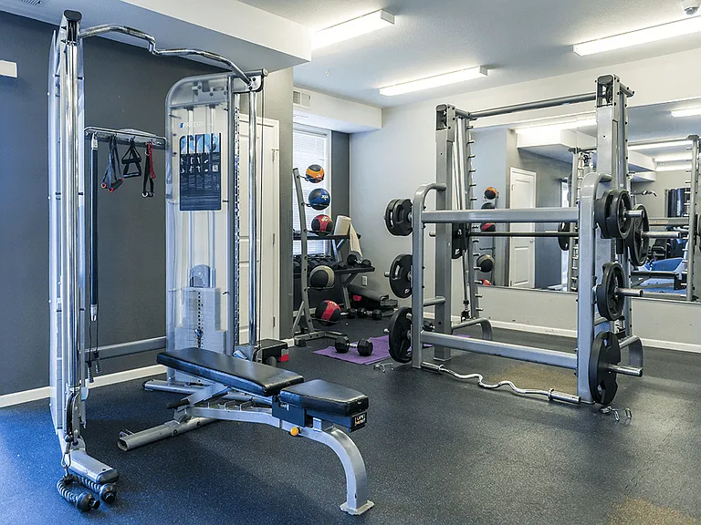 Professional Fitness Center