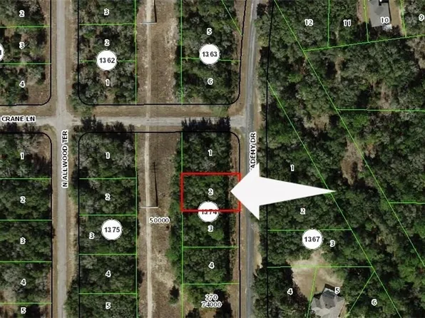 10732 N Academy Dr, Citrus Springs, FL 34434