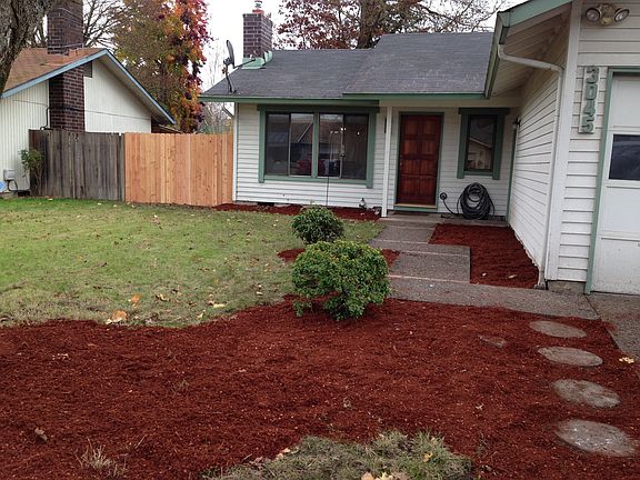 Winter front yard, new front fence