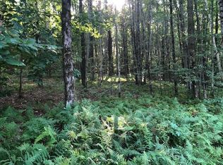 0 Sunrise Mountain Rd, Bloomville, NY 13739