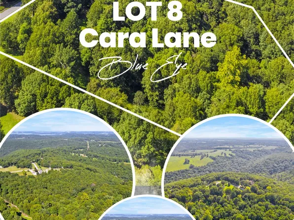 Tbd Lot 8 Cara Lane, Blue Eye, MO 65611