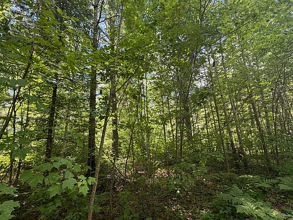 5th image of LOT 1 Maplestone Rd