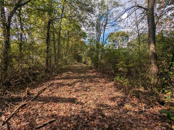 Shafer Rd, Warren, OH 44481