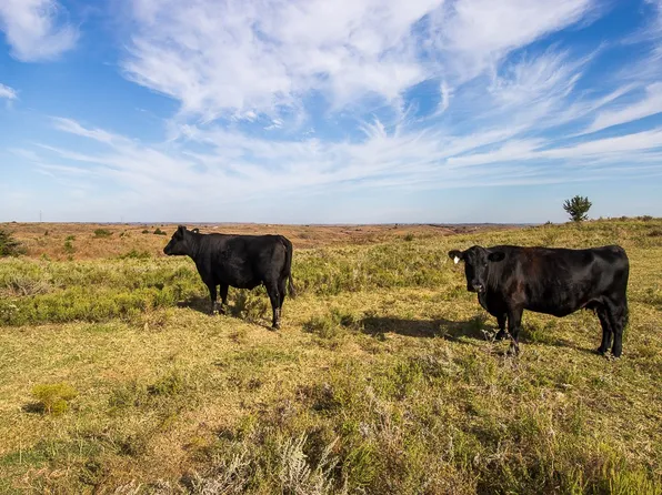 TRACT 4 E County Road 385, Mooreland, OK 73852