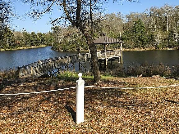 Community fishing pond 