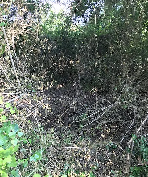 Manuel Rd — Photo 13