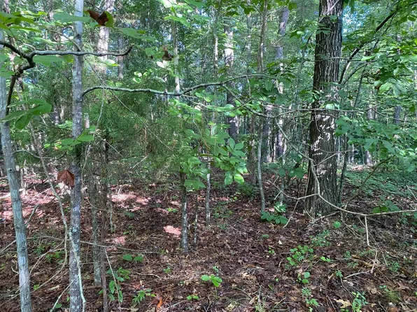 Country Woods Dr Lot 3, Selmer, TN 38375