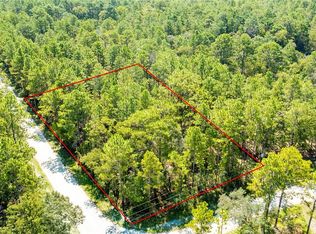 11156 Yellow Tail Ave #1, Brooksville, FL 34614