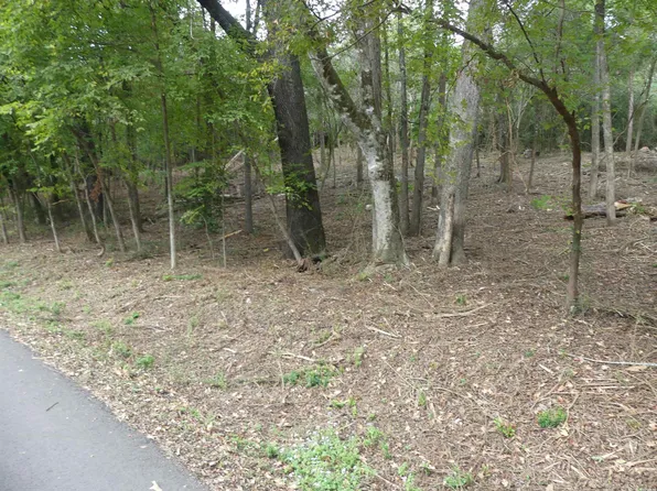 0 Cozy Acres Ter, Mountain Pine, AR 71956