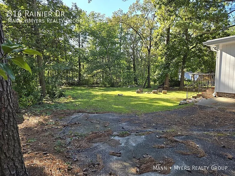 316 Rainier Dr — Photo 40