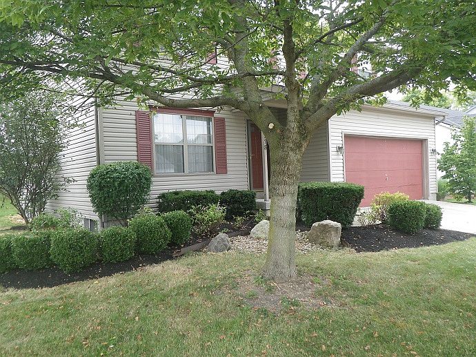 Mature manicured landscaping