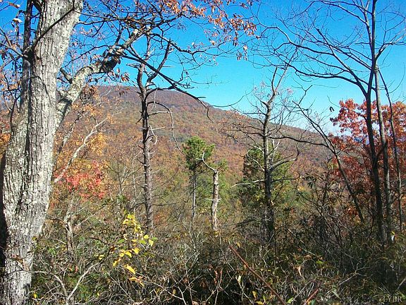 5th image of 0 Old Stoney Creek Rd