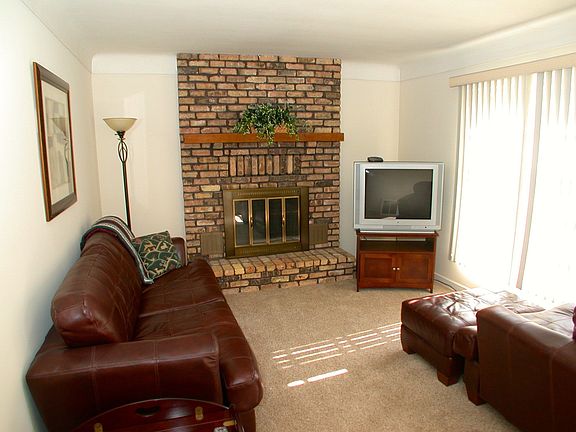 Wood Burning Fireplace