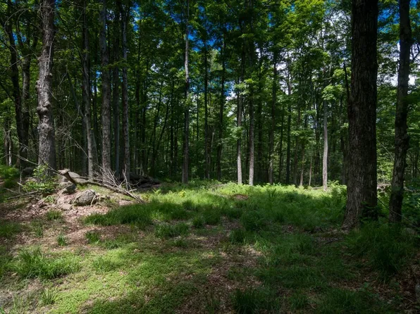 91 Lynes Rd, Chester, MA 01011