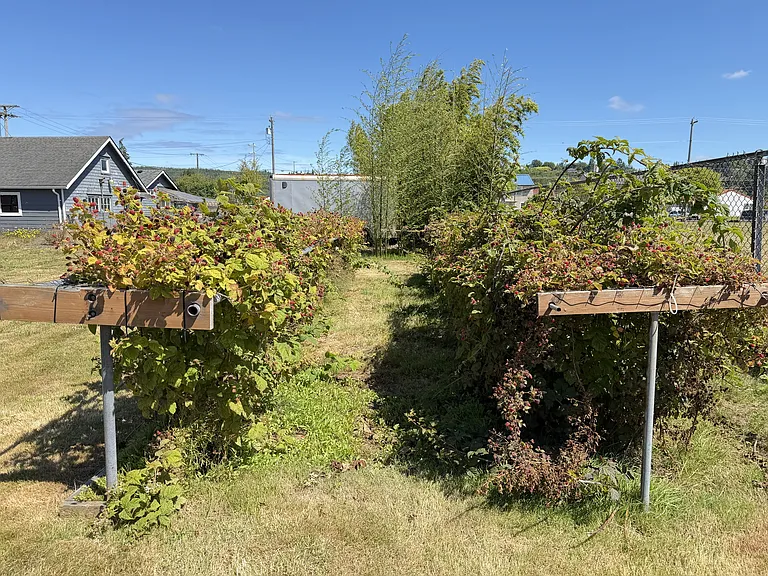 304 Oak St — Photo 30