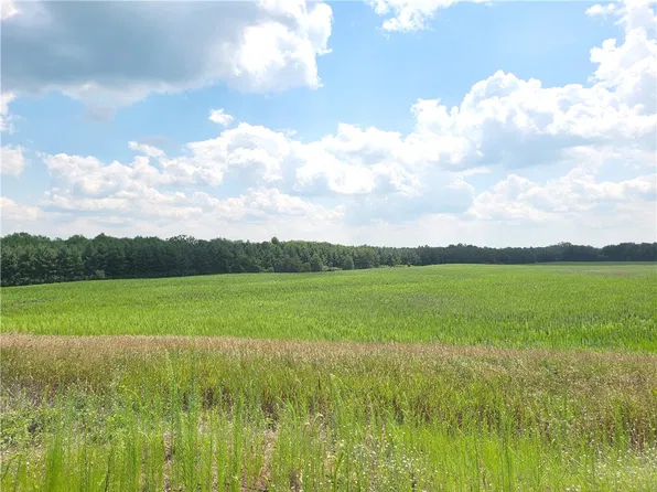 1xx County Rd N, Boyceville, WI 54725