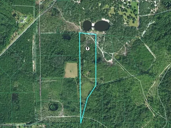 NE 115th Lane Rd, Fort Mc Coy, FL 32134