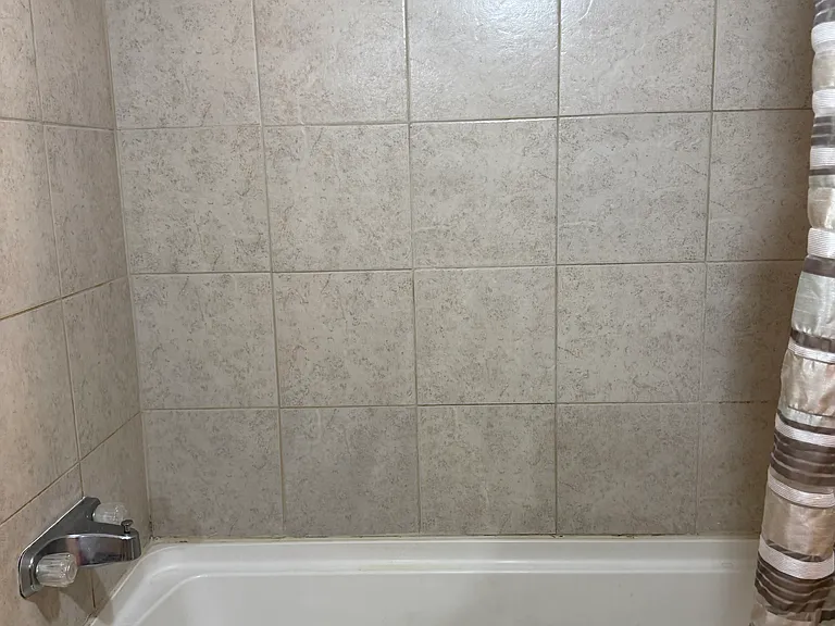 833A Kitti Wake Dr — Photo 10