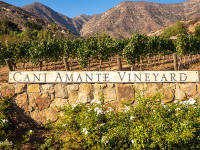 1620 Foothill Rd, Ojai, CA, 93023