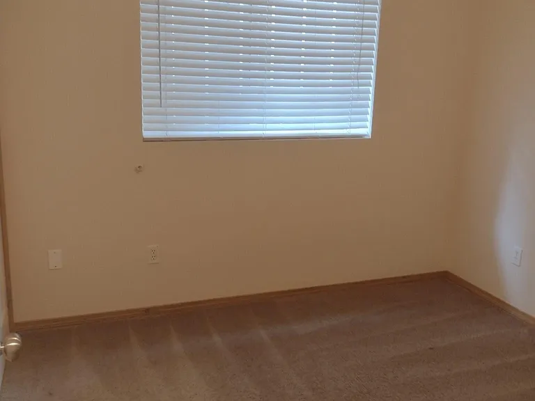4703 S Morgan St — Photo 17